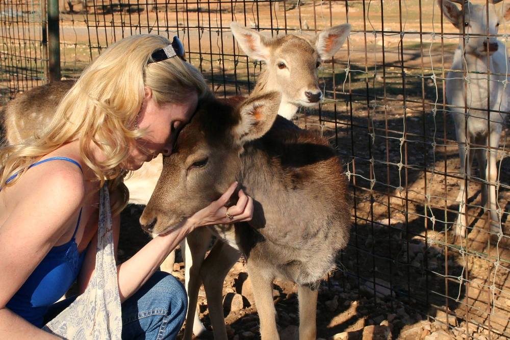 Sherri Tilley | Exotic Resort Zoo