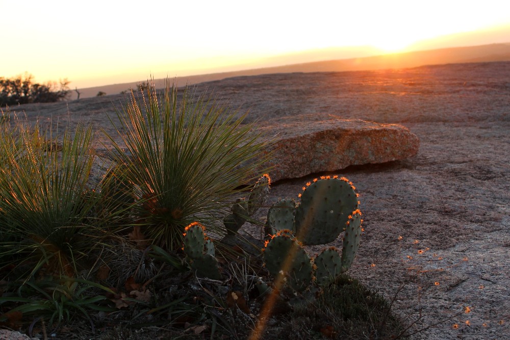 Enchanted Rock | by Sherri Tilley | Fredericksburg, TX