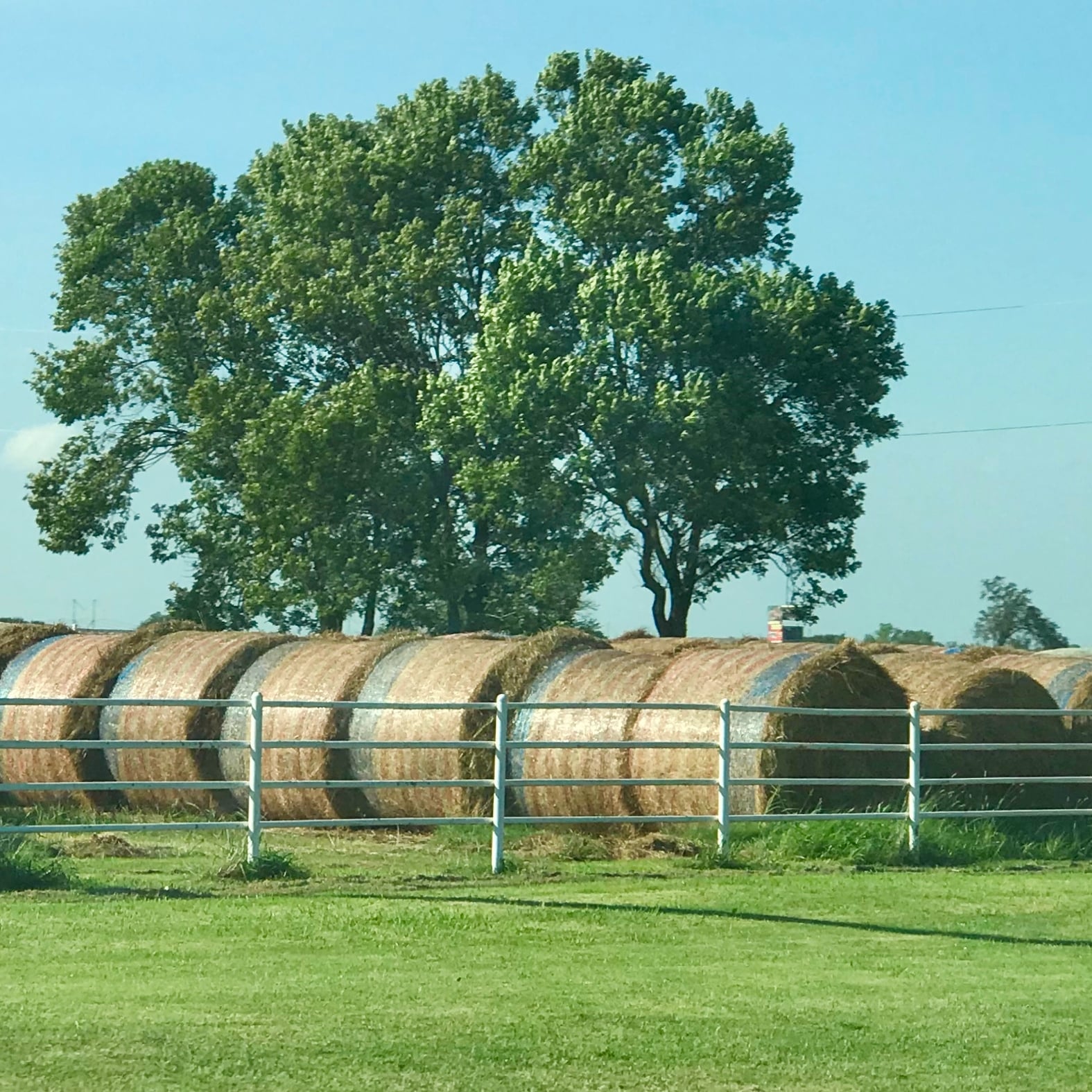 Scenes from the Heartland