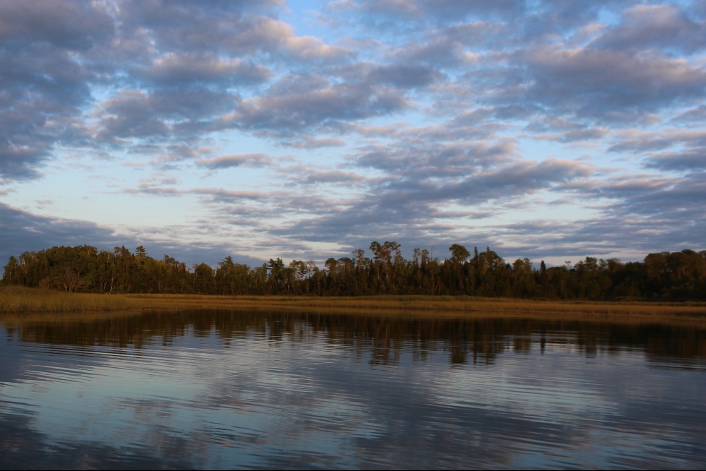 Photo by Sherri Tilley | Vermilion River | Minnesota