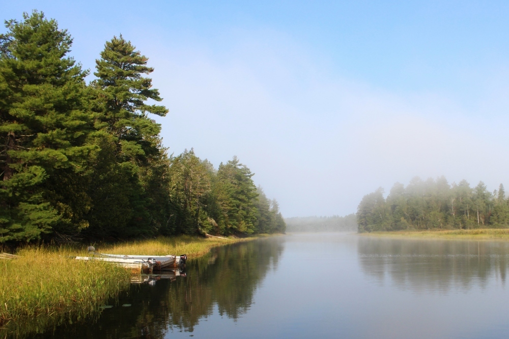 Photo by Sherri Tilley | Vermilion River | Minnesota
