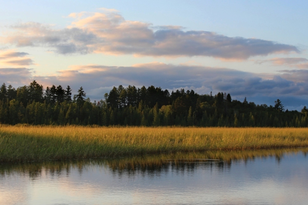 Photo by Sherri Tilley | Vermilion River | Minnesota