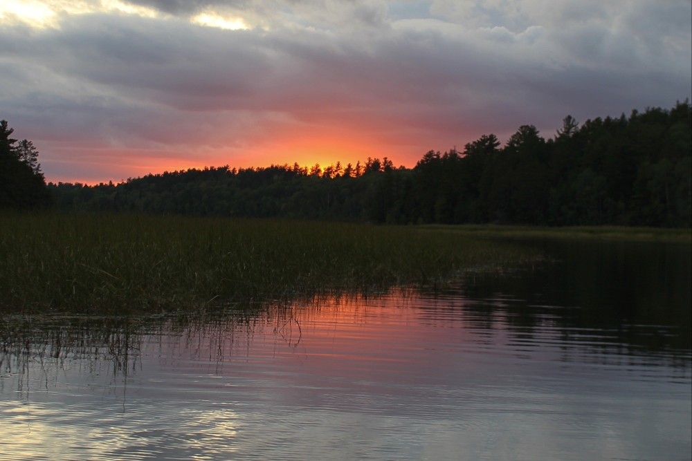 Photo by Sherri Tilley | Vermilion River | Minnesota